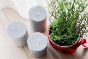 Смарт квартира в центрі для пари! Дешево з ремонтом!