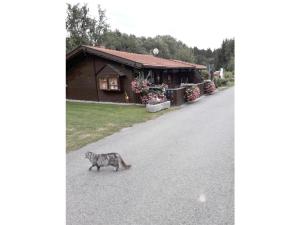 Gerdas Ferienhäuser