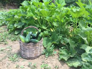 Amalfatah Tuerredda img20