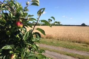 Church Farm B&B Suffolk