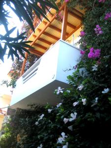 Corina Apartments Lasithi Greece