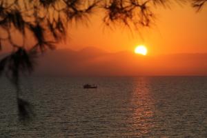 Stamiris Beach Hotel Zakynthos Greece