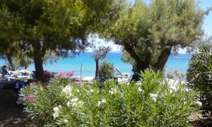 Stamiris Beach Hotel Zakynthos Greece