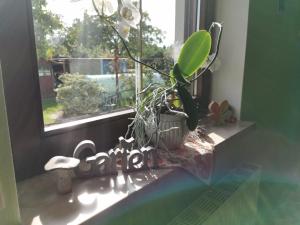 Apartmán Ferienwohnung Nordlicht Großdubrau Německo
