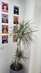 Appartements Disneyland cosy Apartment : photos des chambres