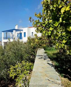 Beba's Villas Andros Greece