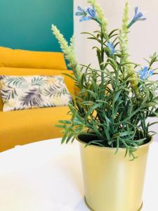 Appartements #T3 intra-muros Avignon : photos des chambres