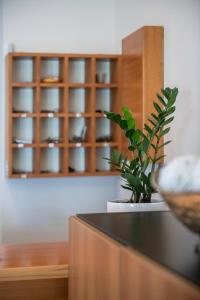 Akti Suites