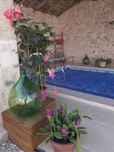 B&B / Chambres d'hotes La charentaise ch d'hotes ,Studio : photos des chambres