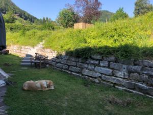 Ferienwohnungen Oberau