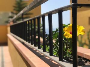 Apartamento de lujo en puerto santiago 2