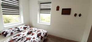 Apartmány Vila Singles