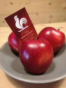 CHALET REMI-STELLA ALPINA