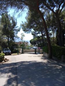 Appartements Studio MANON A2 : photos des chambres