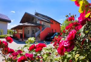 Apartment Kolaković 