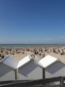 Appartements L Ilot de la Baie, super studio 4p face a la mer, parking gratuit, wifi, classe 2 etoiles a Fort Mahon Plage, Baie de Somme : photos des chambres