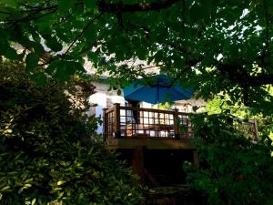 Maisons de vacances Le Papillion Bleu : photos des chambres