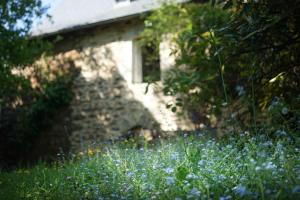 Maisons de vacances Le Papillion Bleu : photos des chambres