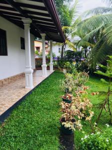 Dreams Villa