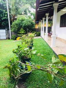 Dreams Villa