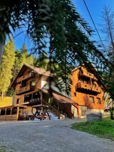 Pensiunea Agnes - Bistra