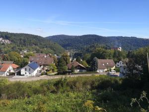 Апартамент Schlossblick Нойенбург Германия