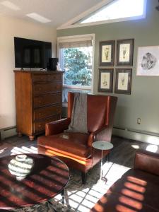 Spectacular apartment, close to Lions Head, next to bus stop