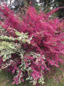 Agriturismo Da Ninoti