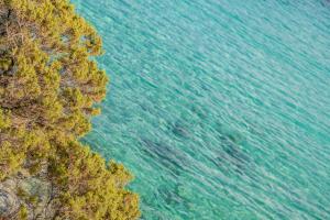 Hotel Cala Lunga img41