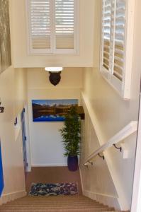Denver Blue Bear Den 3BR 2BA & Spa