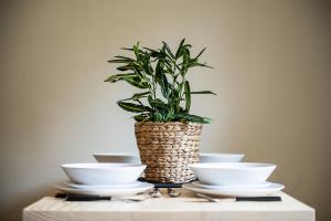 Artemide city places-Splantzia Square