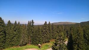 Apartman-Vila Nikola, 064jedansedamdvatridevetnulatri