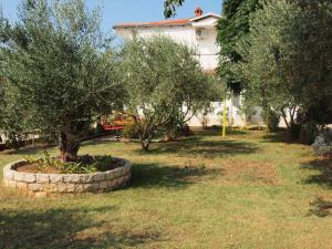 Ana Guest House 