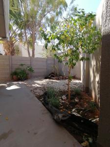 Gemutlich Guesthouse