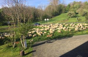 B&B / Chambres d'hotes Cote Puy-De dome : photos des chambres