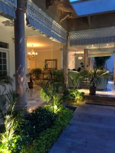 The Rohet House