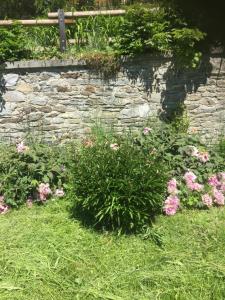 Chalets Le petit Saint Bernard : photos des chambres