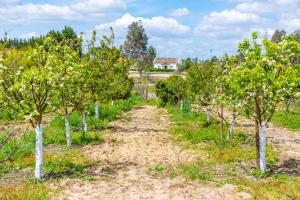 Chitakas Organic Farmhouse in Ribatejo
