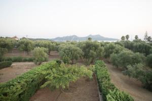 Landscape tranquility with pool and stunning views Messinia Greece
