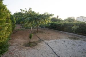 Landscape tranquility with pool and stunning views Messinia Greece