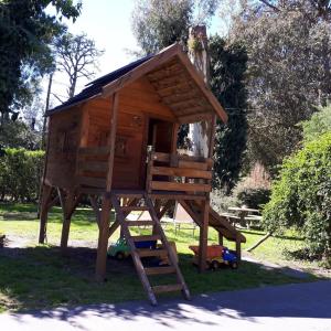 Bosque Peralta Ramos. Zorzales del Bosque