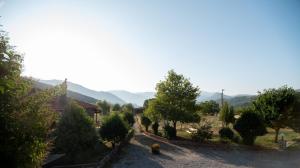 Orias Guesthouse & Farm Achaia Greece