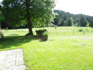 LES CŒURS DU TILLEUL