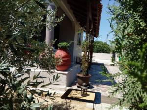 Green House Nafplio Argolida Greece