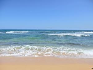 Islander on the Beach 352