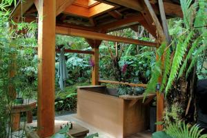 Volcano Rainforest Retreat