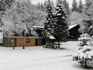 Ferienhaus Chata ZEBRA Ružomberok Slowakei