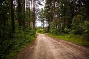 Agroturystyka na wsi w borach tucholskich