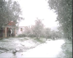 Las Casas De "El Cerrillo"