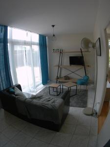 Au bonheur des Anes - Gîte Idylle